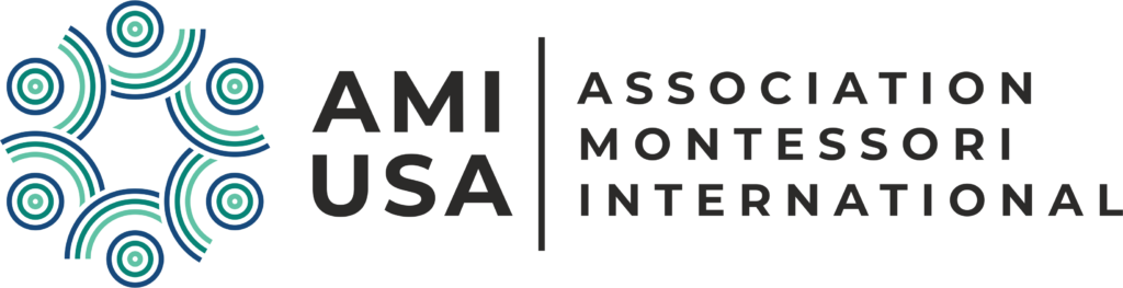 AMI-USA-Logo-1024×263